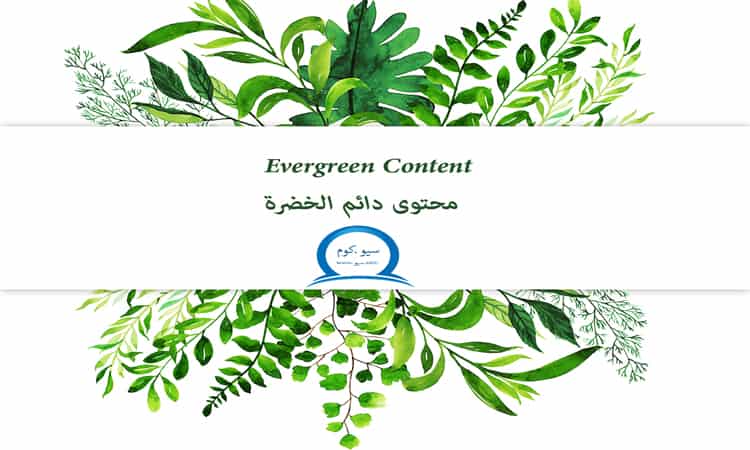 محتوى Evergreen Content دائم الخضرة
