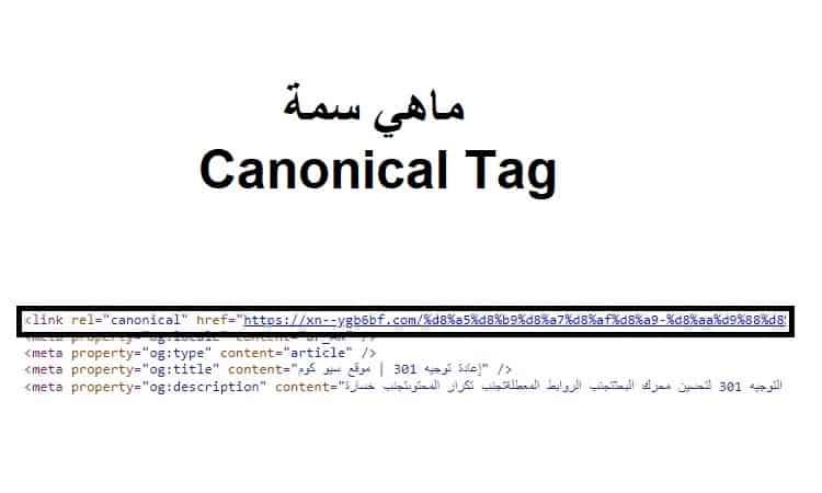 ماهي سمة Canonical Tag