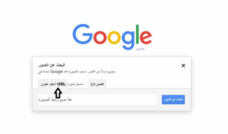 البحث العكسي عن الصور من خلال رابط URL