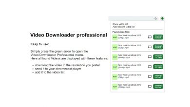 اضافة Video Downloader professional