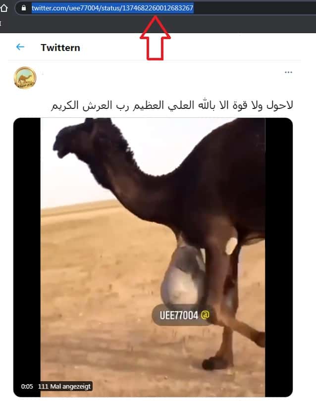 تنزيل مقاطع الفيديو من تويتر