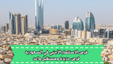 فرص الاستثمار الأجنبي في السعودية