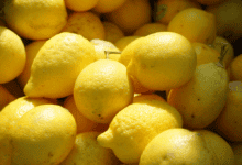 هل الليمون يذيب دهون البطن؟